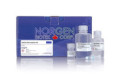 62300 Biofilm DNA Isolation Kit ( 50 rxn )